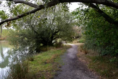 Parc Jozereau de Pessac (9).